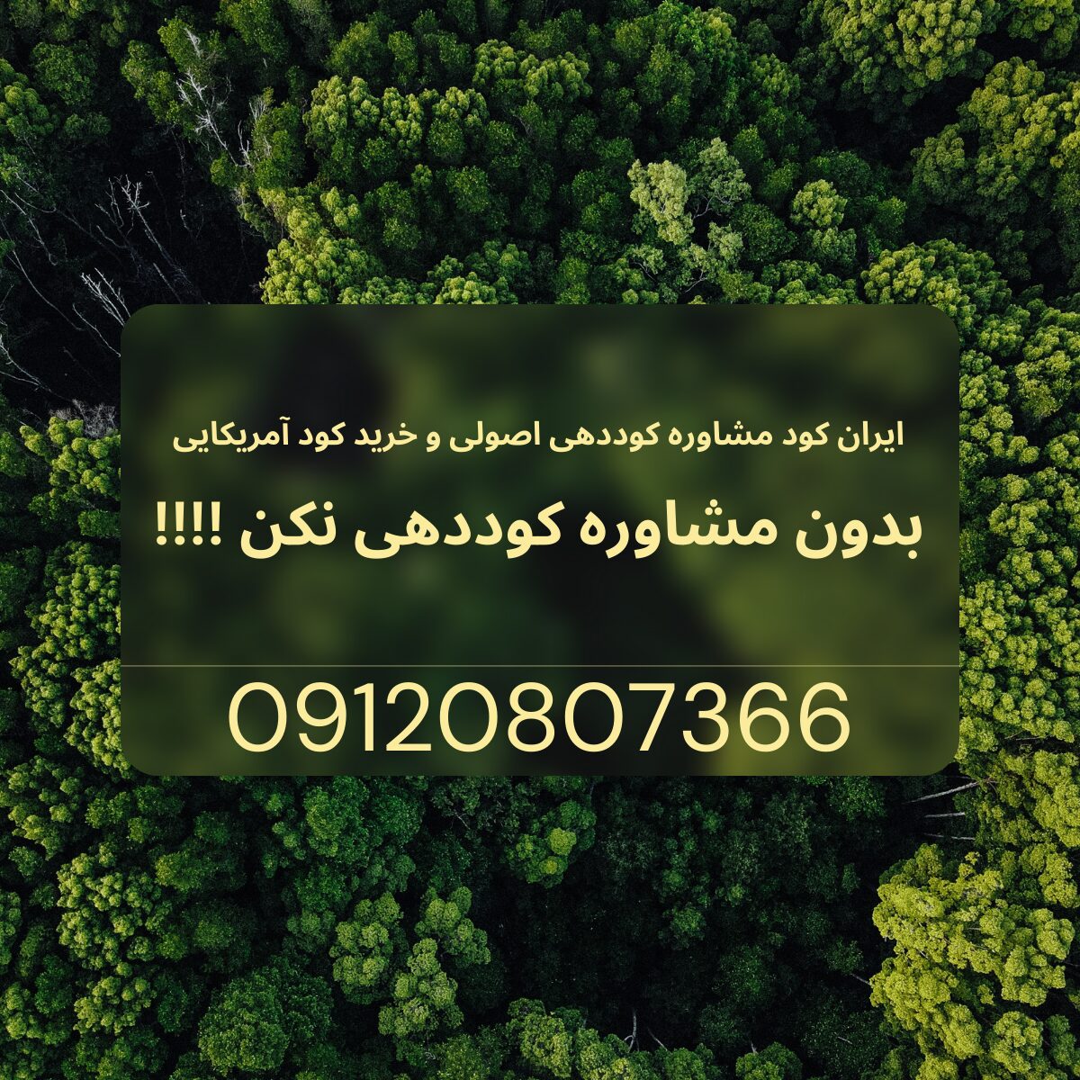 راز کوددهی زعفران در کشاورزی