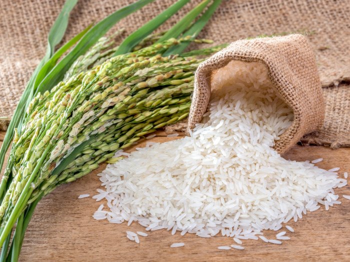 زمان مصرف هیومیک اسید در برنج