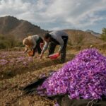 موانع سد راه کشاورزی ایران
