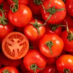 بهترین کود برای افزایش باردهی گوجه فرنگی