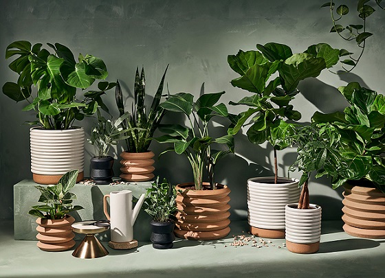 کود کامل 10Xshock برای گیاهان آپارتمانی