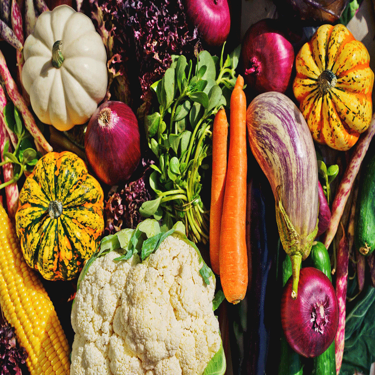کود کامل ده ایکس برای سبزیجات