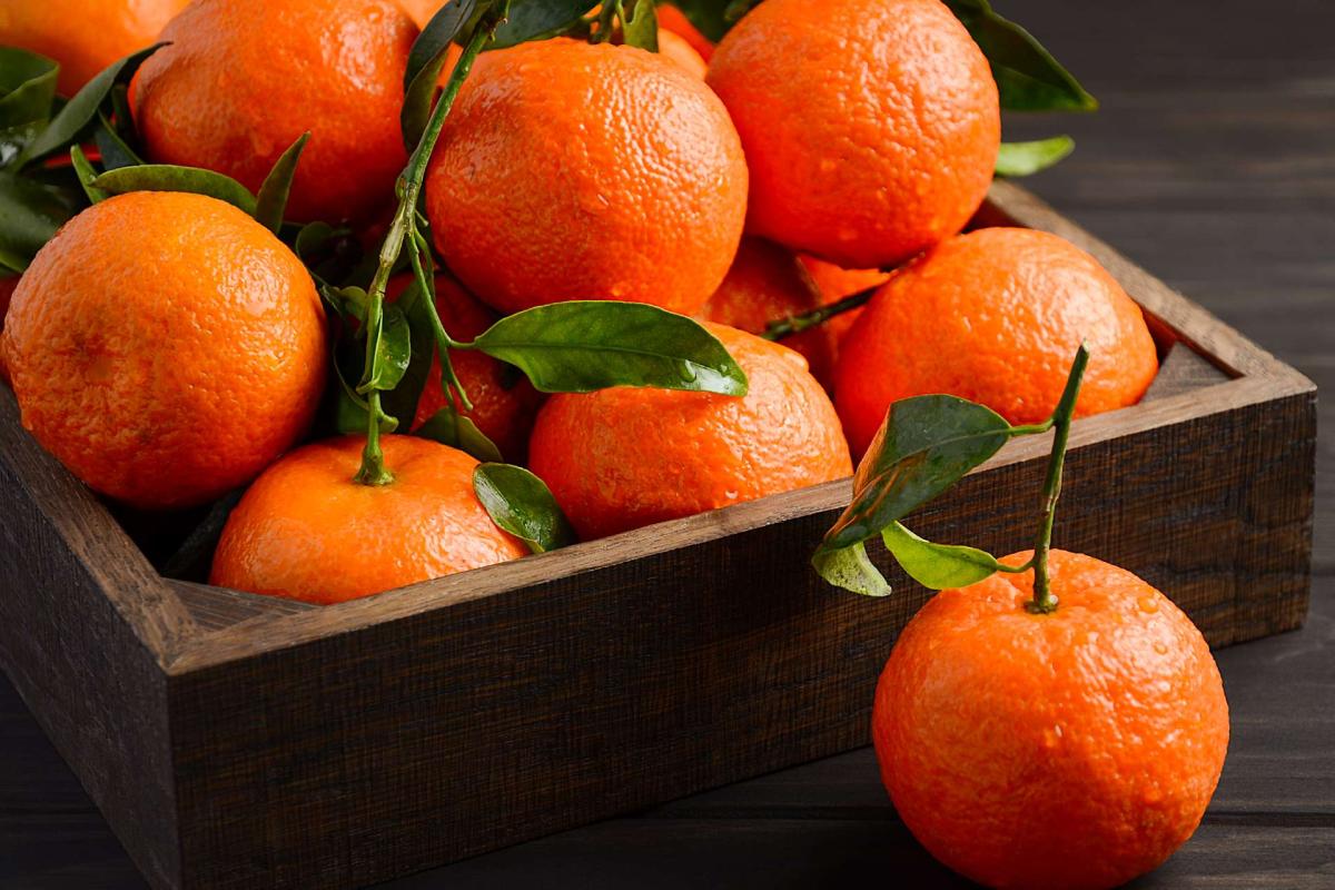 کود اسید هیومیک برای نارنگی
