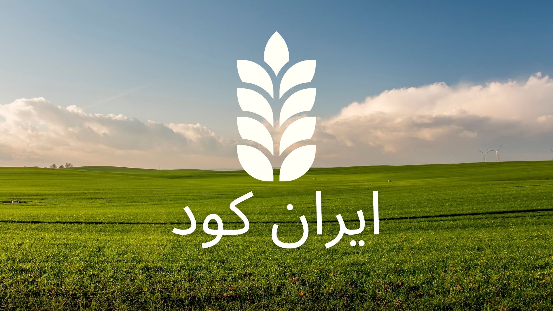 خرید انواع کود مایع اورجینال وارداتی