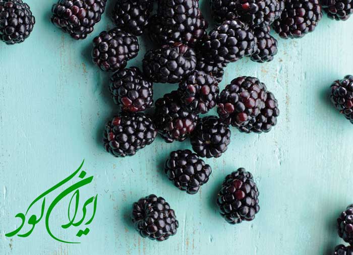نحوه کاشت و نگهداری درخت شاه توت